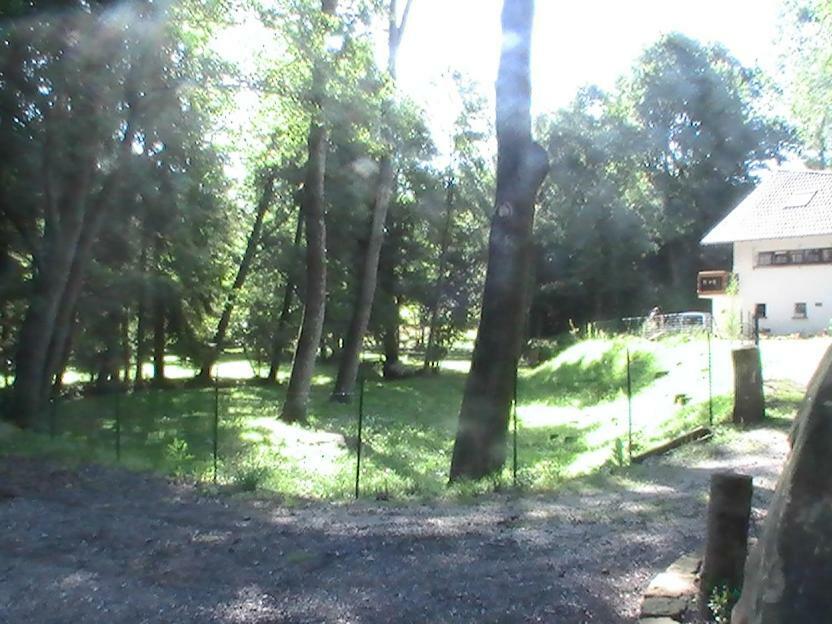 Gite De La Baerenbach Haselbourg Esterno foto