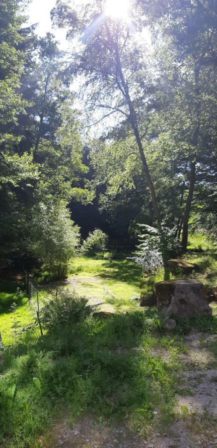 Gite De La Baerenbach Haselbourg Esterno foto