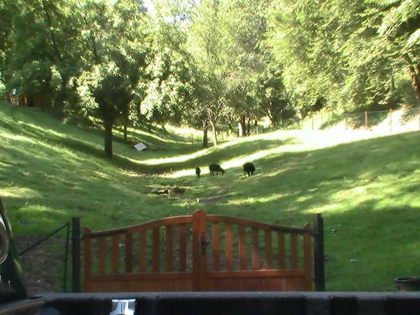 Gite De La Baerenbach Haselbourg Esterno foto